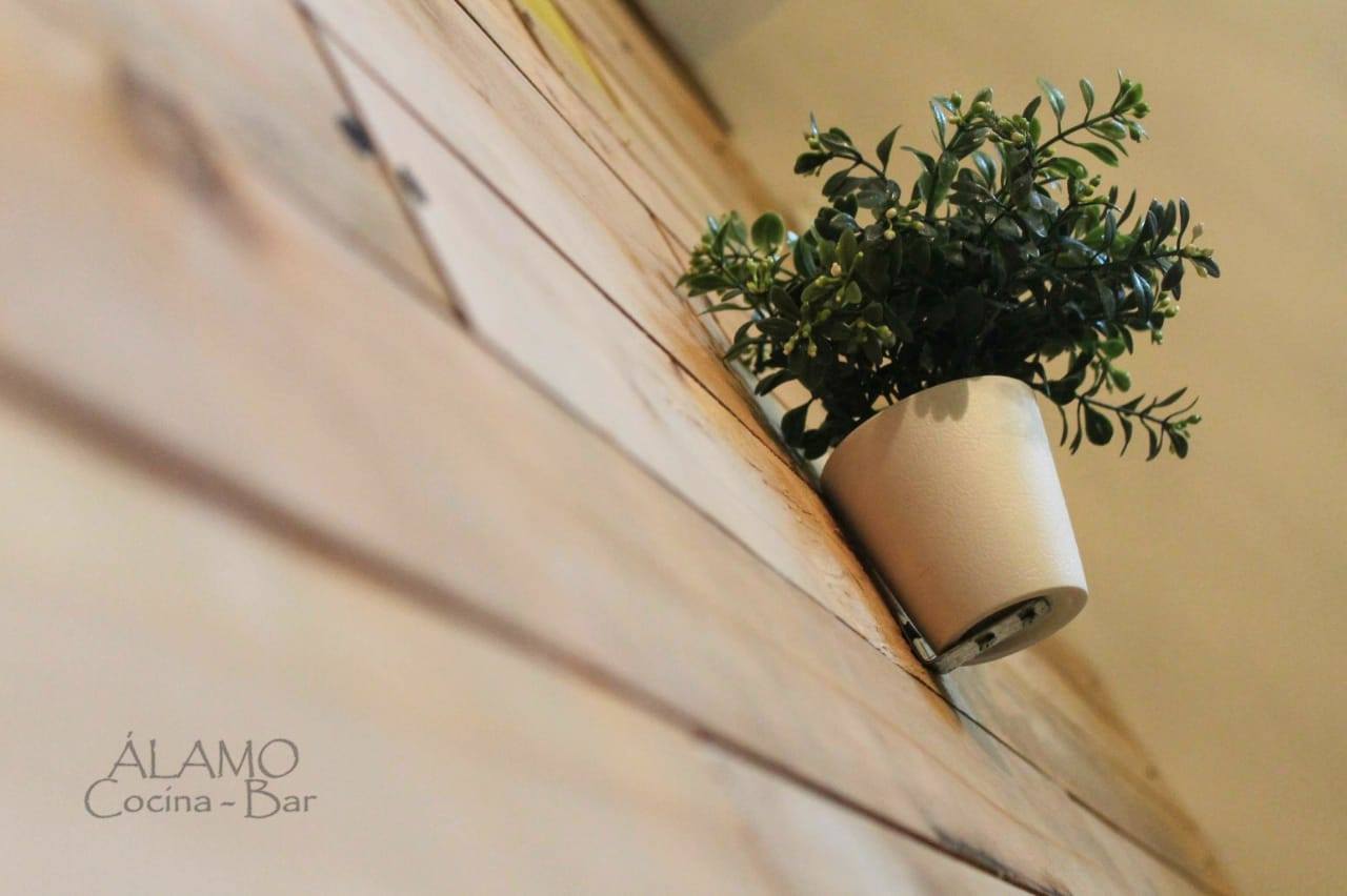 Alamo Cocina Bar